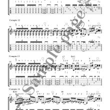 Flamenco guitar lessons sample page